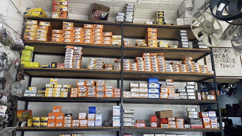 Auto Elétrica Letícia