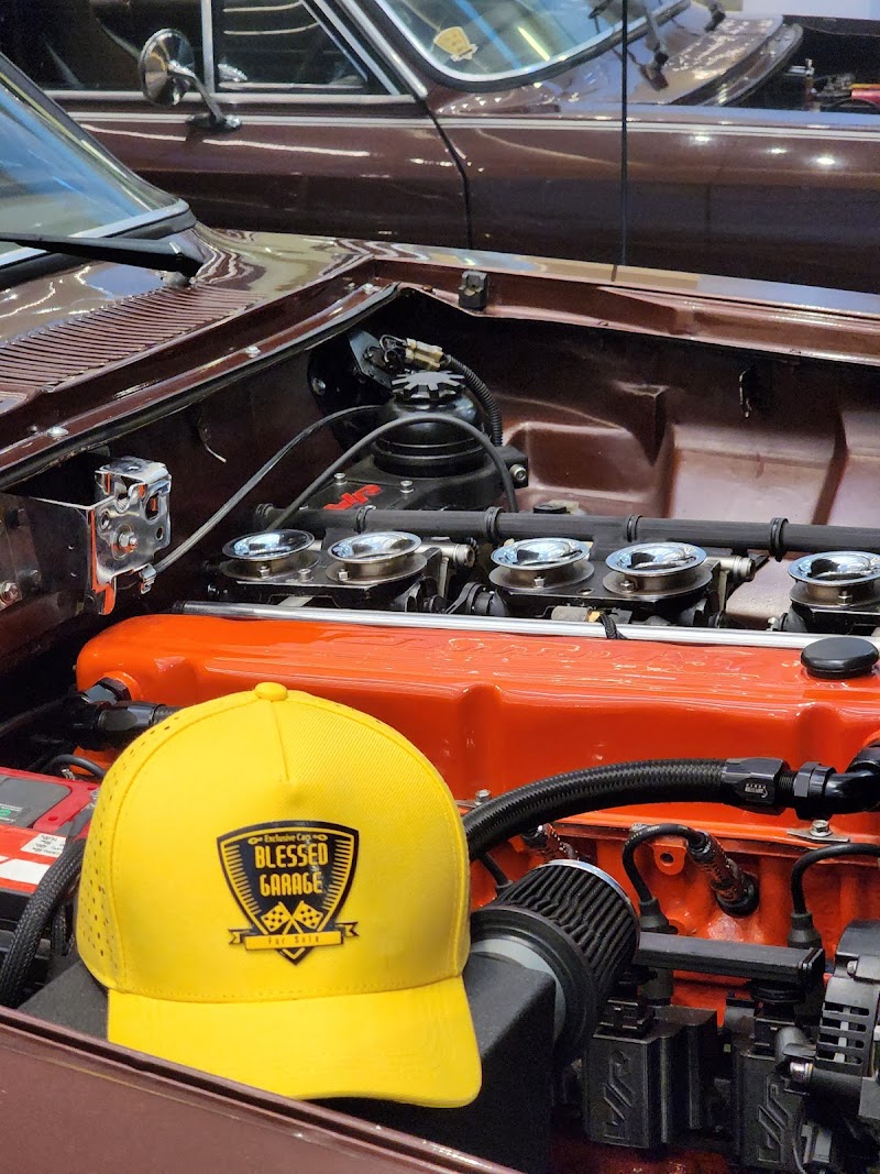 Auto Elétrica Pró Light