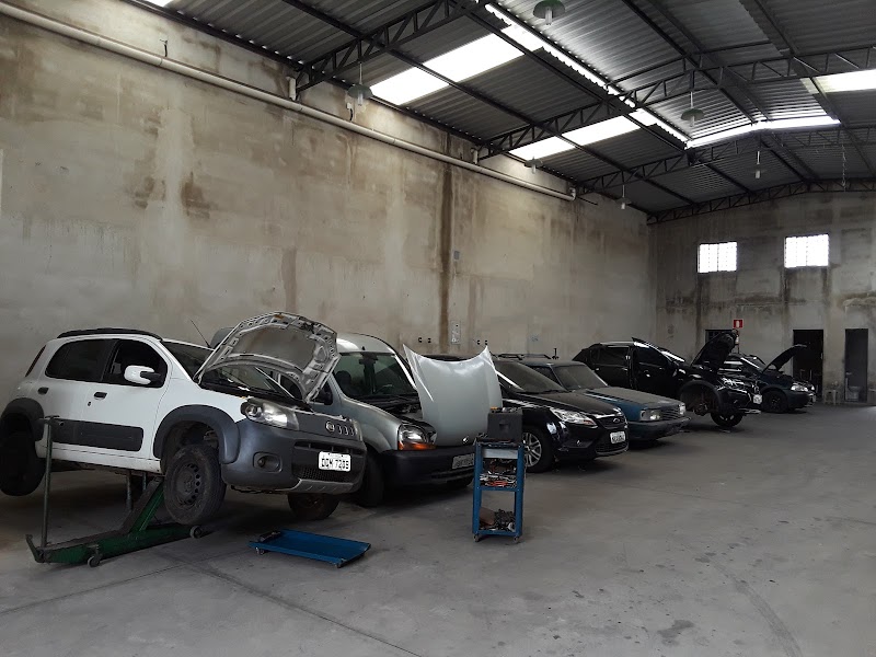 Auto Elétrica Waltinho