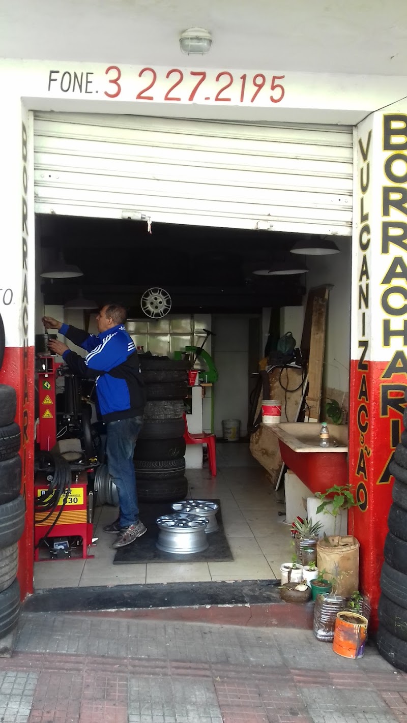 Borracharia capivari