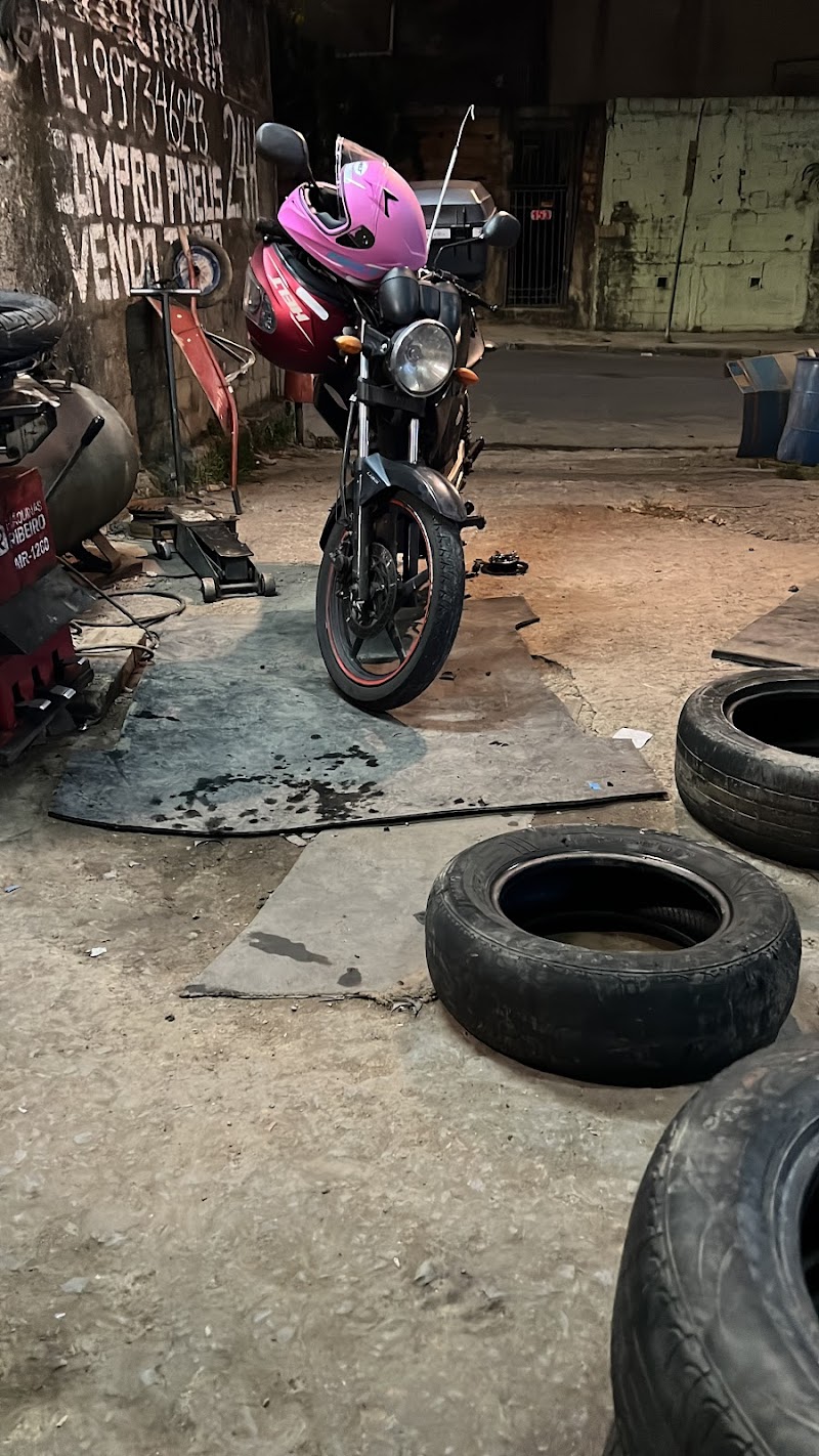 Borracharia da arvore