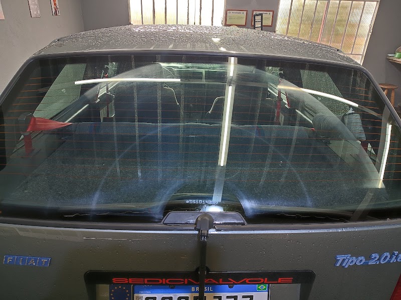 Brilho Certo Palmeiras