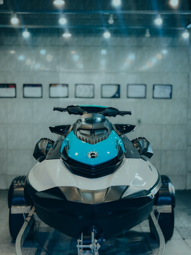 Neat estética automotiva