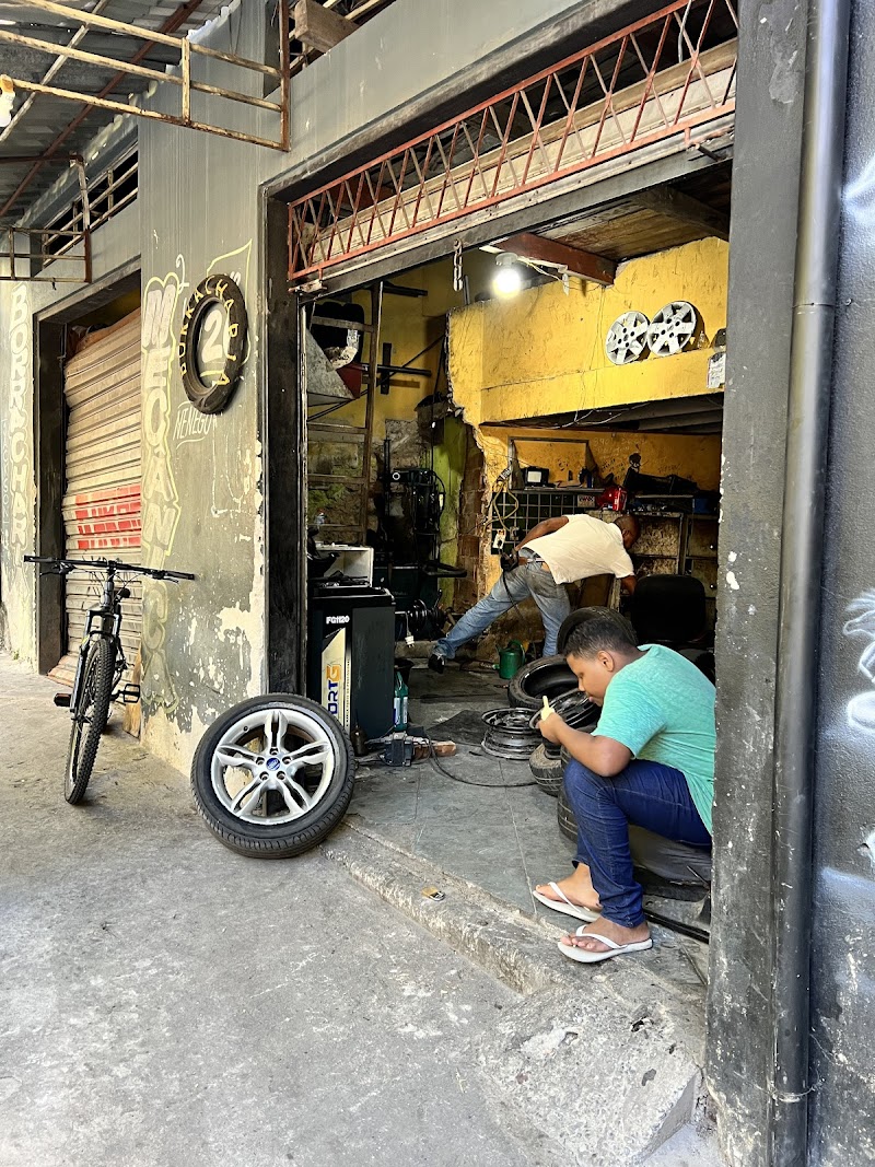 Borracharia opala 26