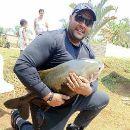 GFC Som Automotivos Nacionais