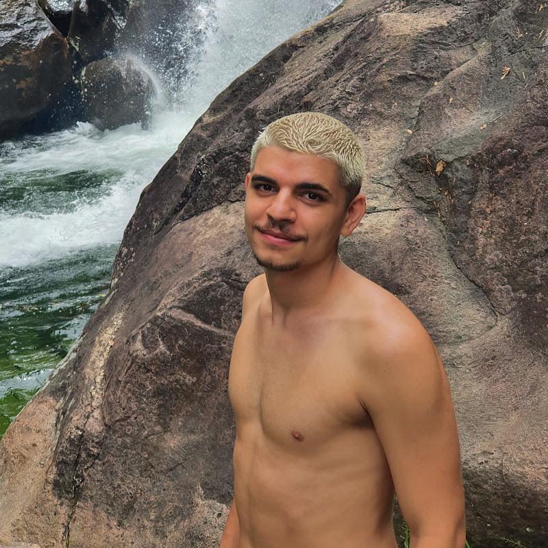 Auto Portas Barreiro Ltda