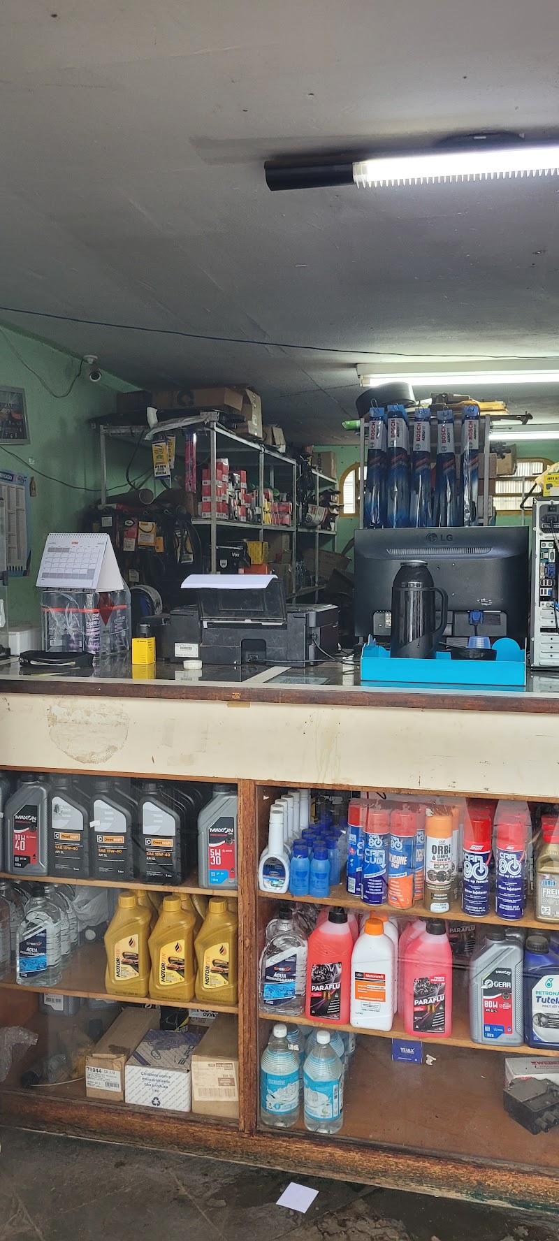 Auto Elétrica Papagaio