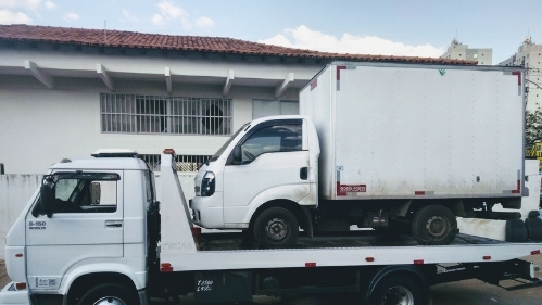 Guincho - Samambaia - Brasília