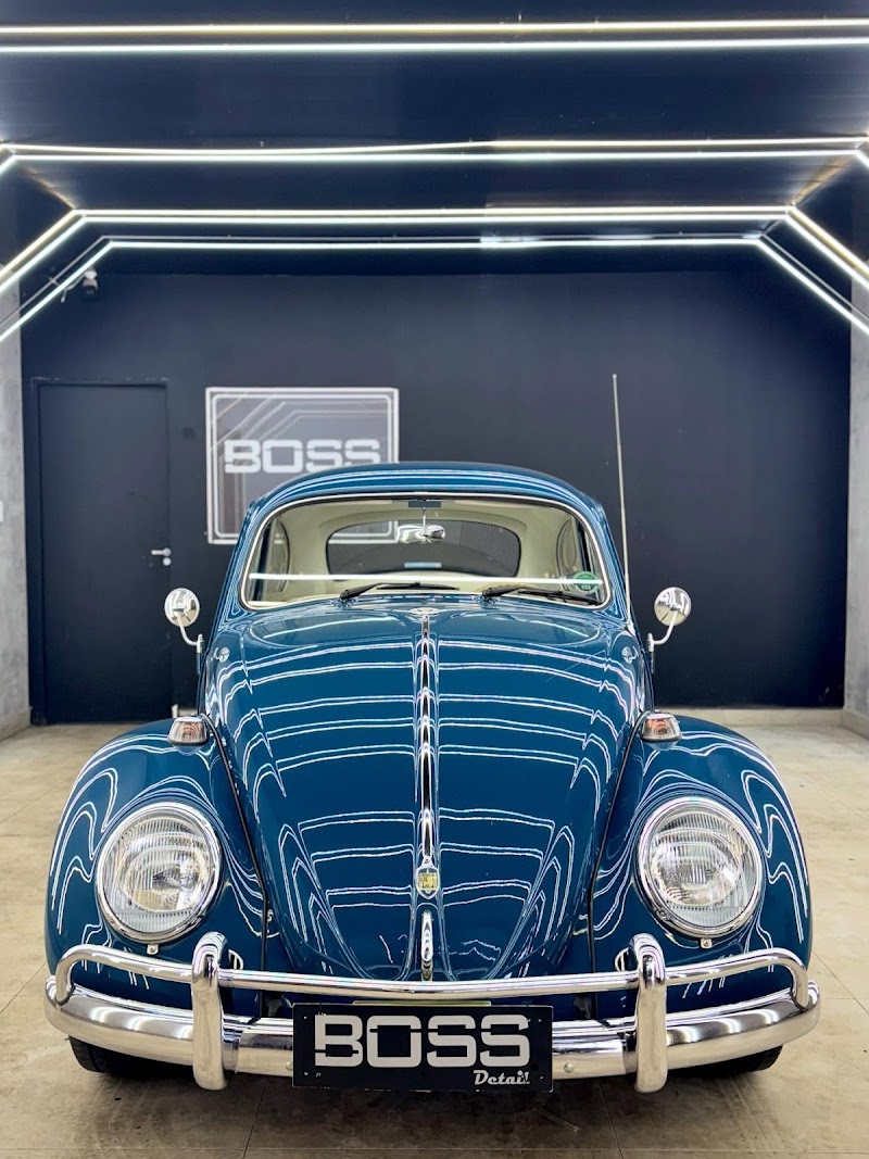 Boss Detail - 503 Norte