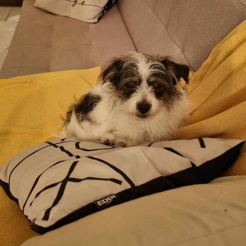 Auto Elétrica e Mecânica Lago