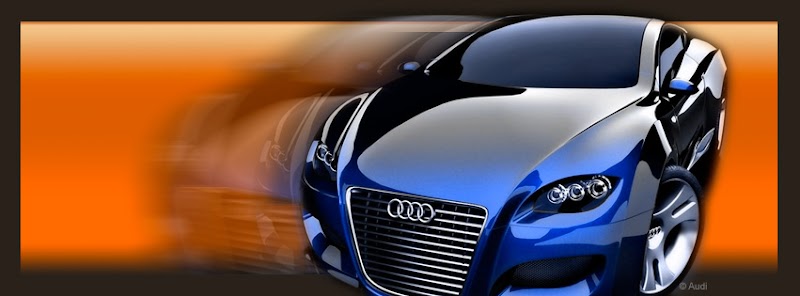 Domício Pacheco e Silva