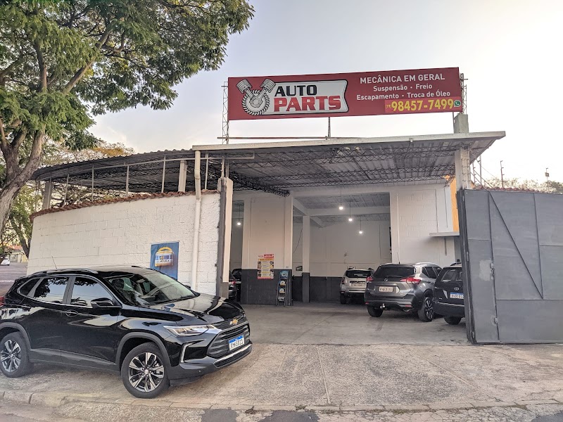 Oficina Mecânica Do Gaúcho Campinas