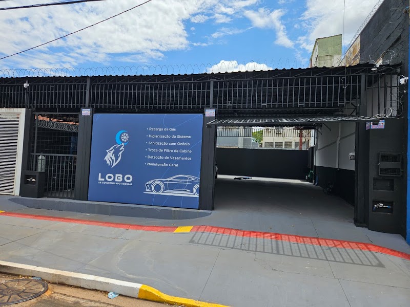LOBO AR CONDICIONADO VEICULAR