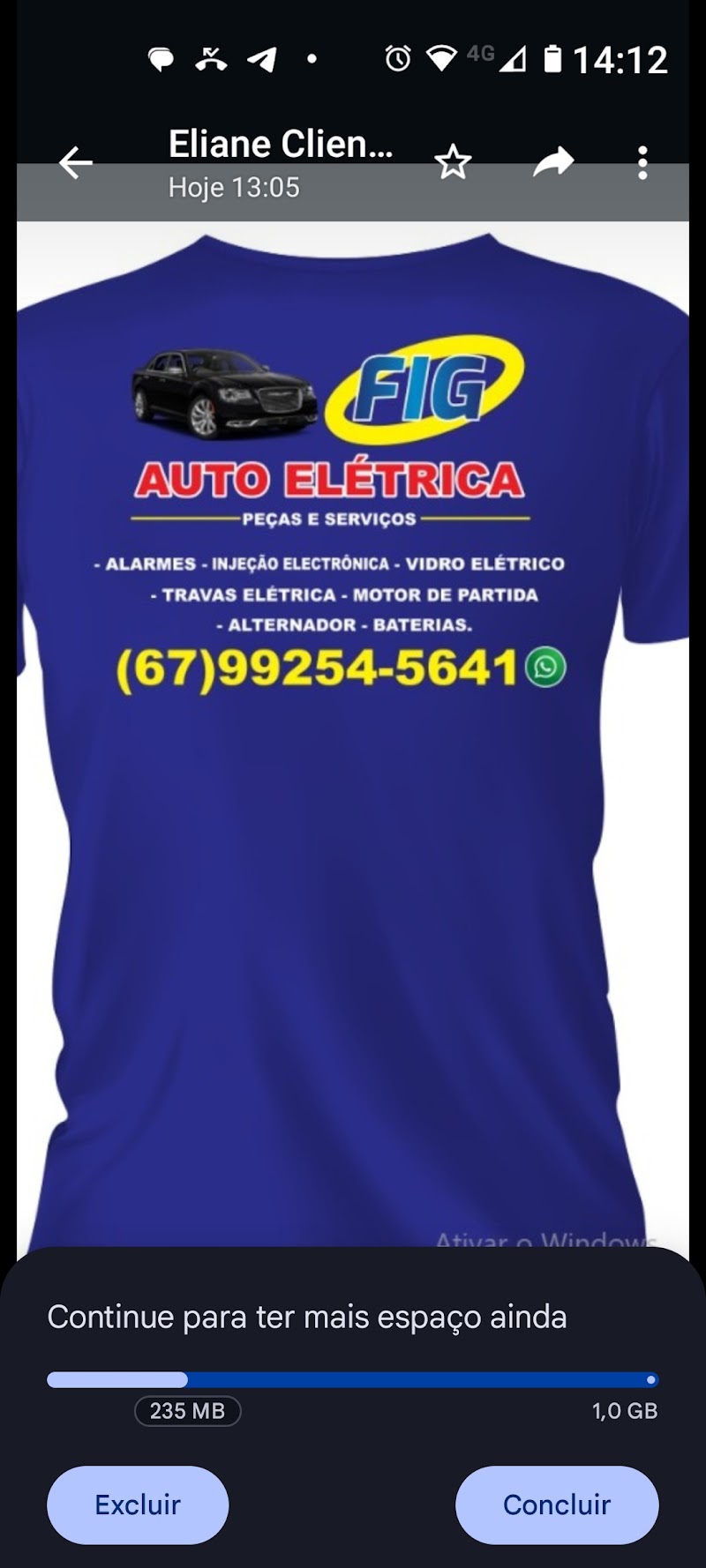 FIG Auto Eletrica