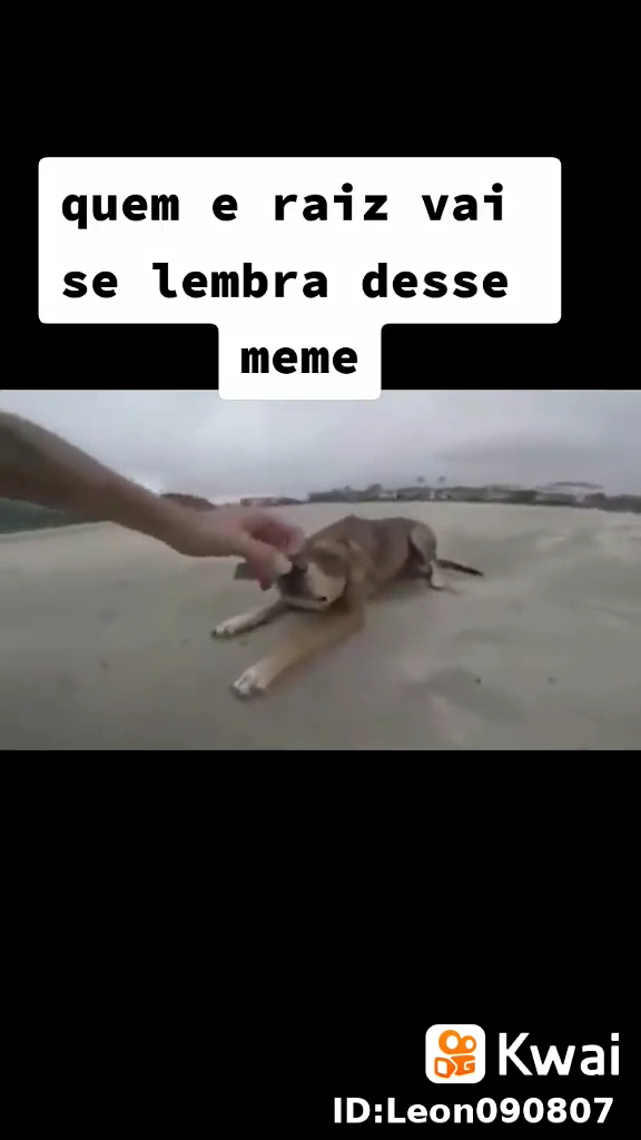 Borracharia Catarinense