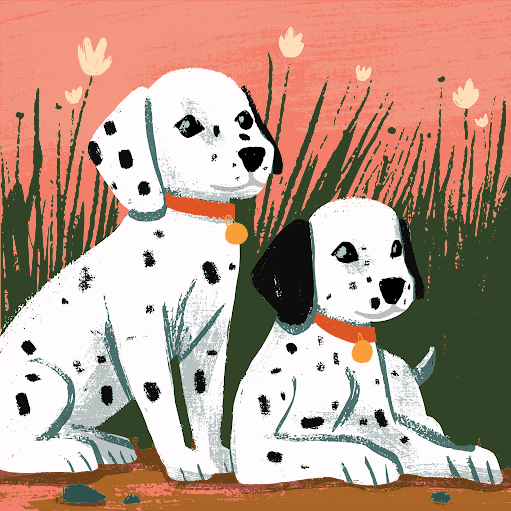 Auto Elétrica Tokio