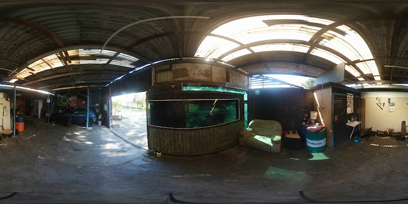 Auto Elétrica Vitória