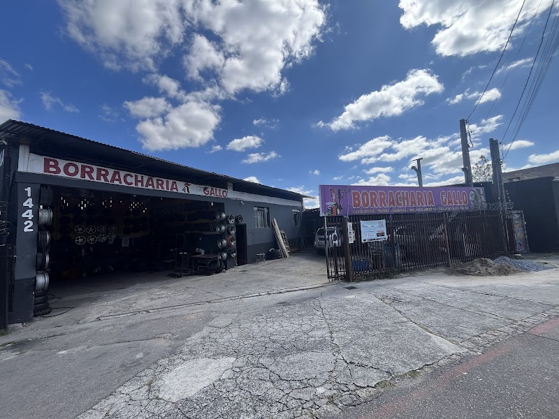 Borracharia Gallo