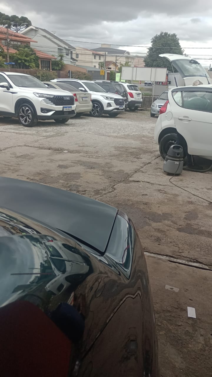 MARTELINHO DE OURO - CAPÃO RASO