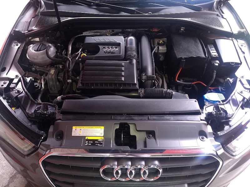 Oficina Pingo de Ouro