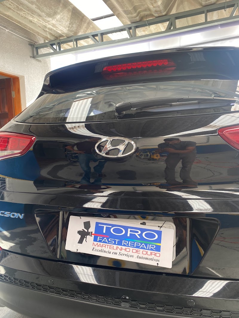 Toro Martelinho Fast Repair