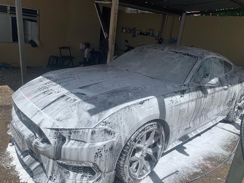 ARENA ESTÉTICA AUTOMOTIVA