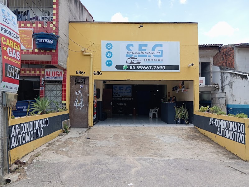 SEG Refrigeração Automotivo
