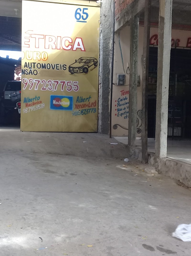 Auto Elétrica O Louro