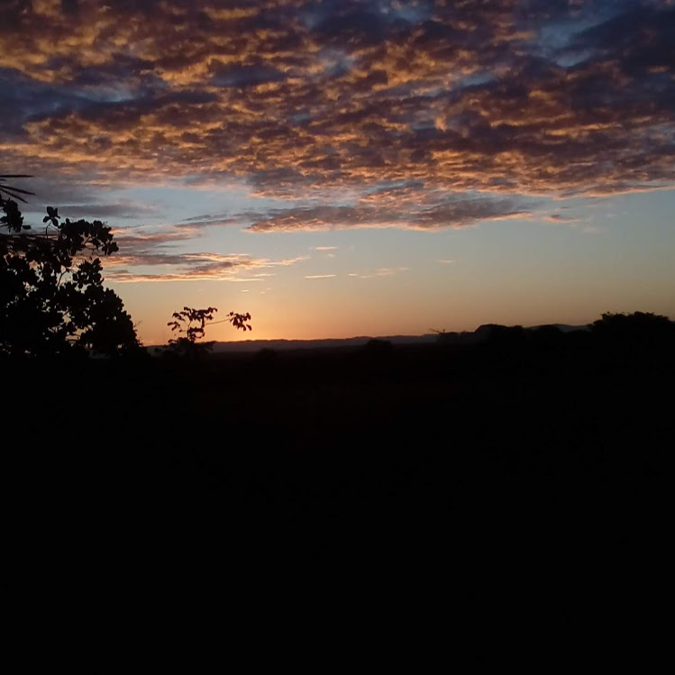Borracharia o Carlão