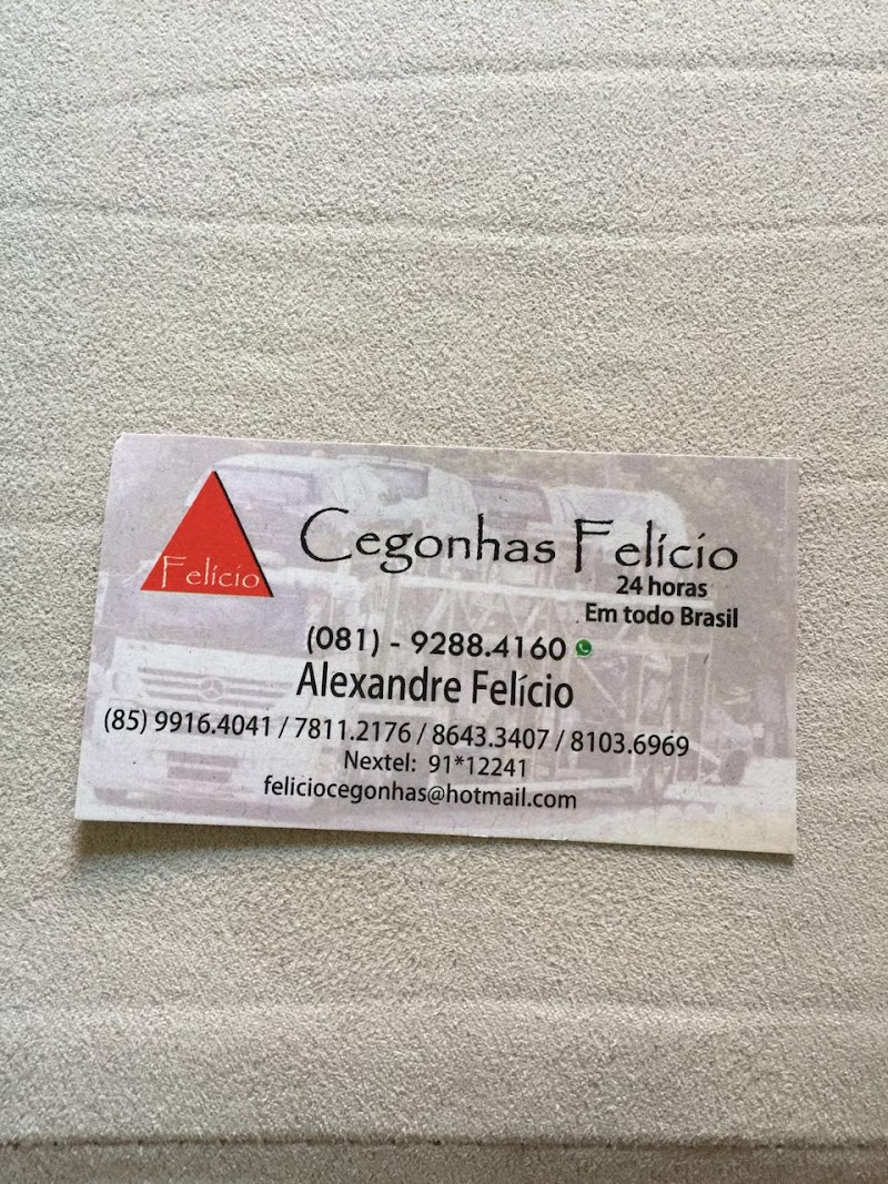 Unilink Transporte de Veículos Integrados