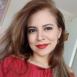 Lava Jato Carioca Car