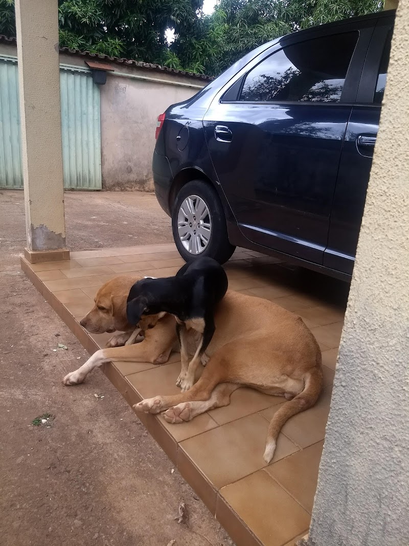 Tecnoar ar automotivo