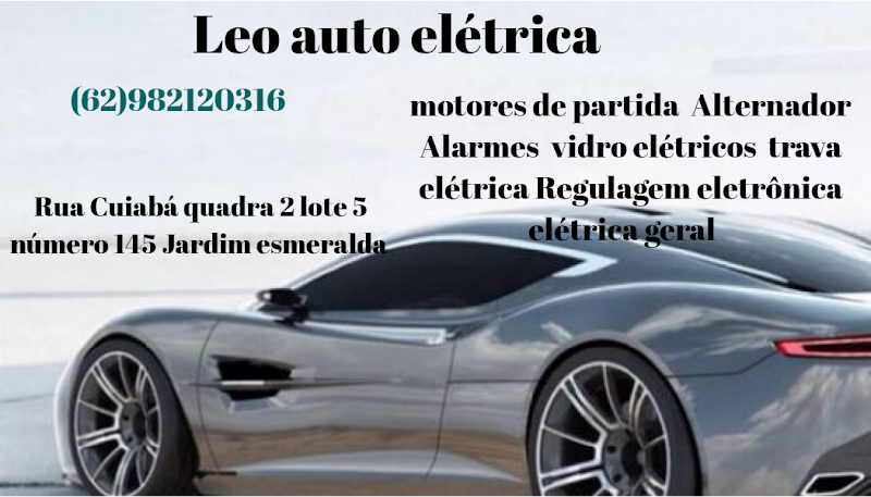 Leo auto elétrica