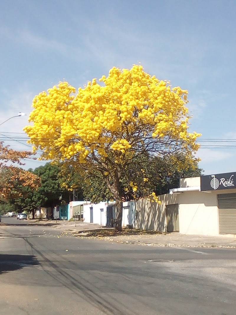 Centro de Estética Automotiva Premium