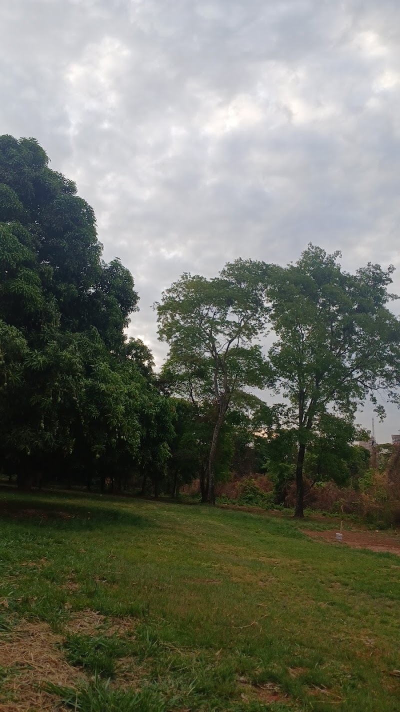 Autopeças e Mecânica Multimarcas - Mecânica e Manutenção Automotiva