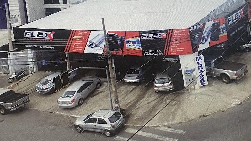 Flex Automotiva