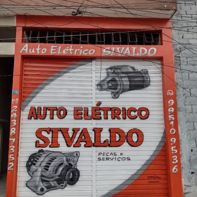 Auto elétrica sivaldo