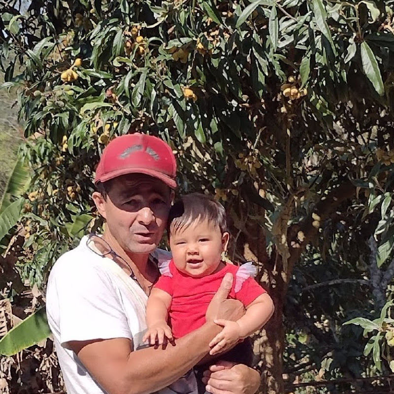 Autoelétrico Yamaguti