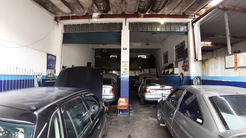 TotaCar Auto Elerico