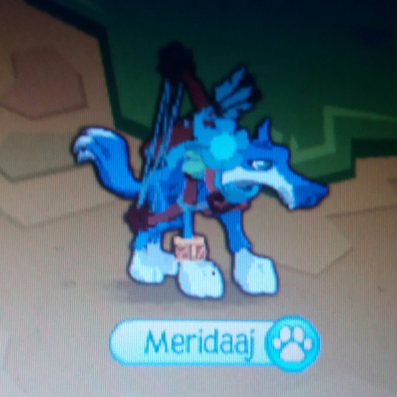 Fernando Funilaria e Pintura