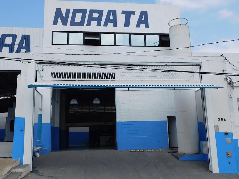 Norata Reparos automotivos