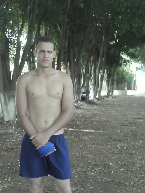 Kim Car Auto Mecanica