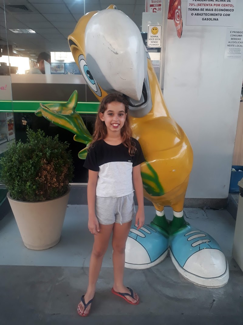 Posto Carreteiro Petrobras