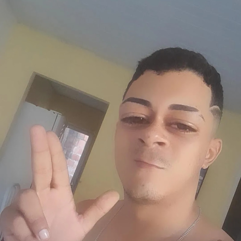 Auto Elétrica Primavera