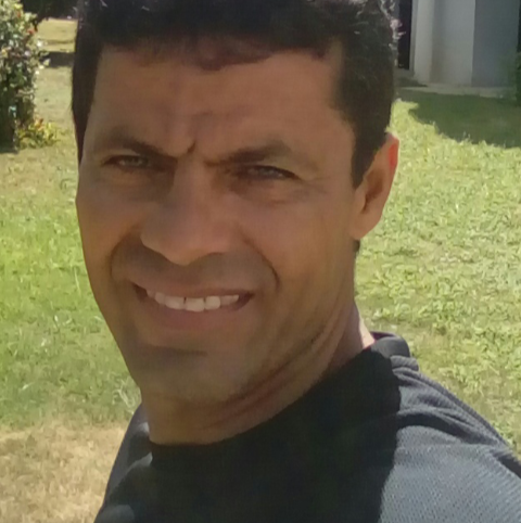 Ws elétrica automotiva