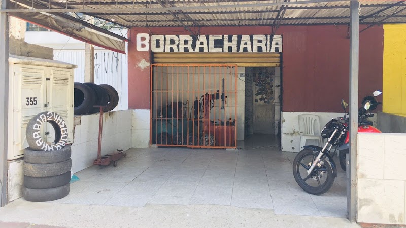 Borracharia