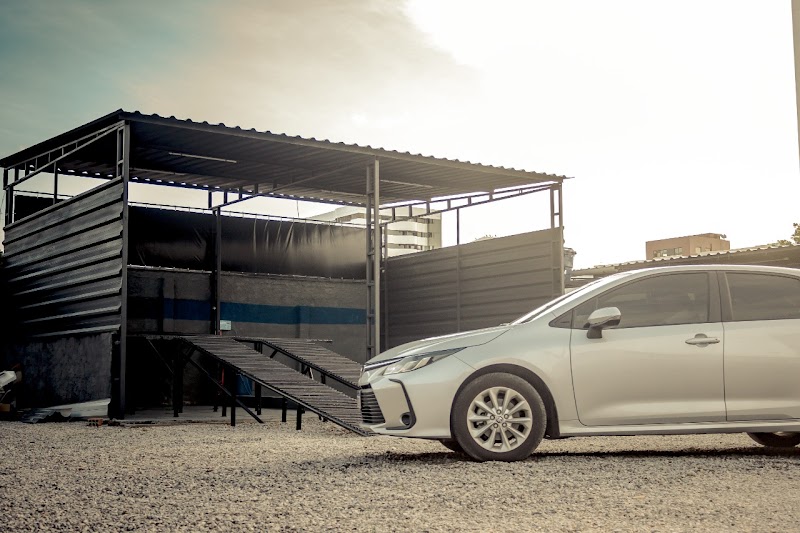 Primo estetica automotiva