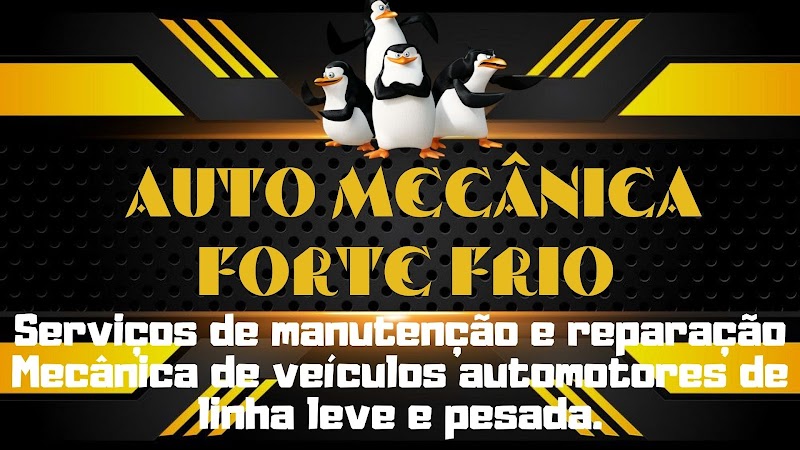 FORTE FRIO AUTO MECANICA