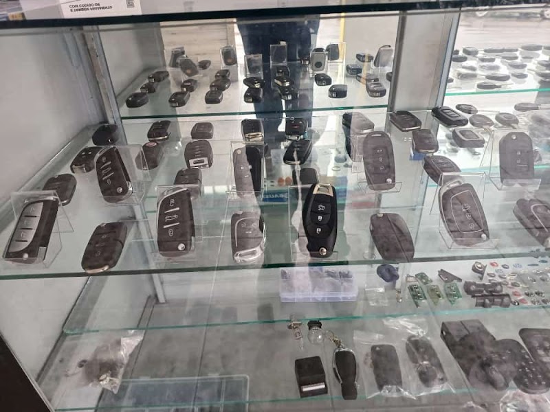 Fênix elétrica técnica e chaveiro automotivo