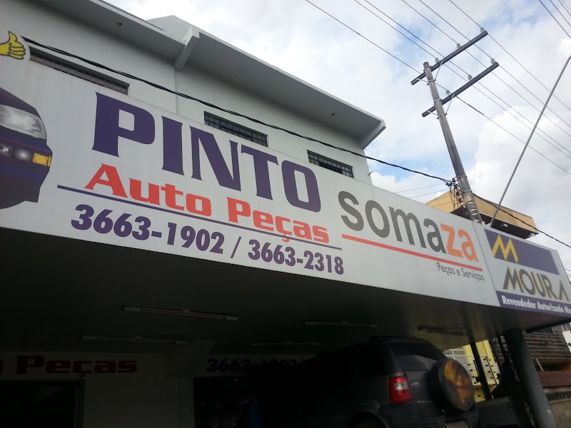 Pinto Auto Peças - Raiz